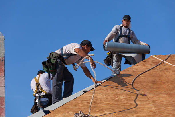 Best Storm Damage Roof Repair  in Kearny, AZ