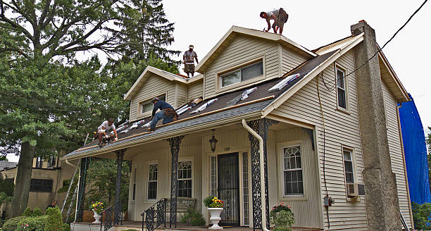 Best Roof Gutter Cleaning  in Kearny, AZ